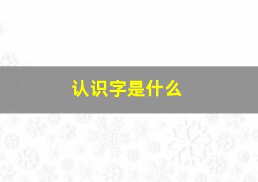 认识字是什么