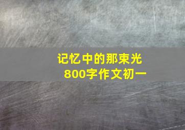 记忆中的那束光800字作文初一