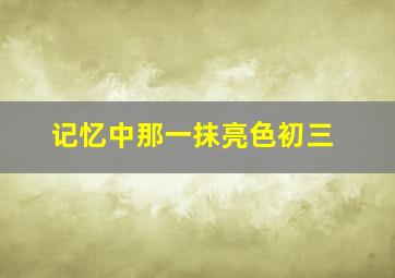 记忆中那一抹亮色初三