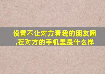 设置不让对方看我的朋友圈,在对方的手机里是什么样