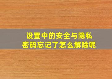 设置中的安全与隐私密码忘记了怎么解除呢