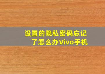 设置的隐私密码忘记了怎么办Vivo手机