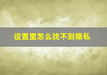 设置里怎么找不到隐私