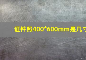 证件照400*600mm是几寸