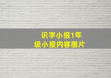 识字小报1年级小报内容图片