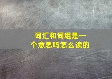 词汇和词组是一个意思吗怎么读的