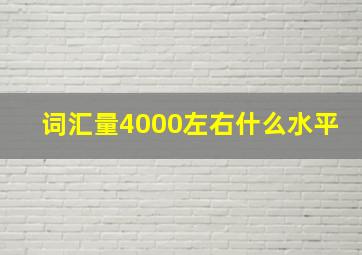 词汇量4000左右什么水平