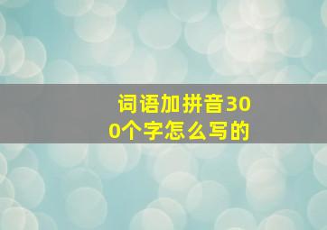 词语加拼音300个字怎么写的