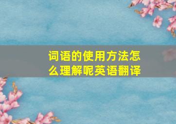 词语的使用方法怎么理解呢英语翻译