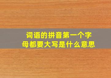 词语的拼音第一个字母都要大写是什么意思