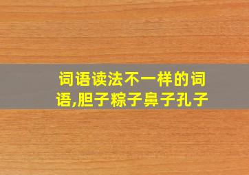 词语读法不一样的词语,胆子粽子鼻子孔子