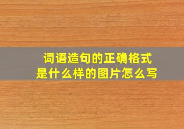 词语造句的正确格式是什么样的图片怎么写