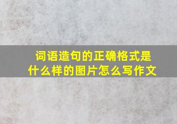 词语造句的正确格式是什么样的图片怎么写作文