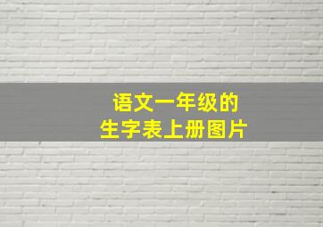 语文一年级的生字表上册图片