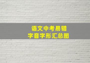 语文中考易错字音字形汇总图