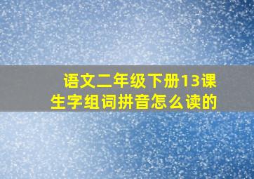 语文二年级下册13课生字组词拼音怎么读的