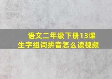 语文二年级下册13课生字组词拼音怎么读视频