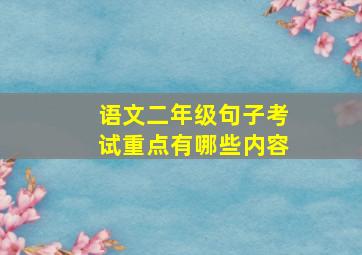 语文二年级句子考试重点有哪些内容