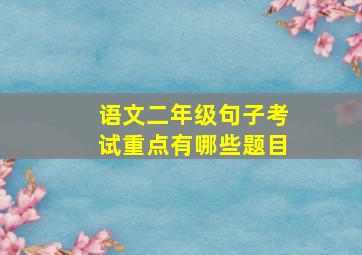 语文二年级句子考试重点有哪些题目