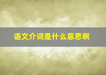 语文介词是什么意思啊