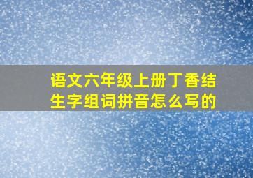 语文六年级上册丁香结生字组词拼音怎么写的