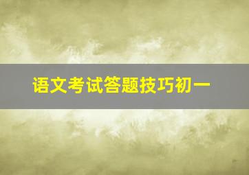 语文考试答题技巧初一