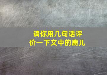 请你用几句话评价一下文中的鹿儿