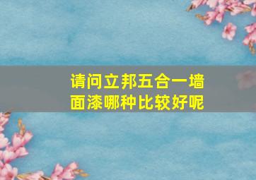 请问立邦五合一墙面漆哪种比较好呢