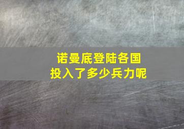 诺曼底登陆各国投入了多少兵力呢