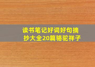 读书笔记好词好句摘抄大全20篇骆驼祥子