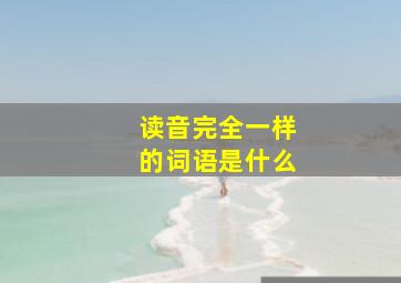 读音完全一样的词语是什么