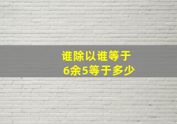 谁除以谁等于6余5等于多少