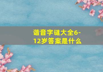 谐音字谜大全6-12岁答案是什么