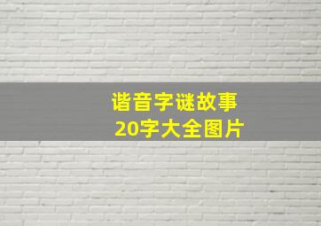 谐音字谜故事20字大全图片