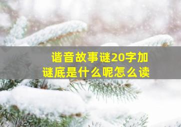 谐音故事谜20字加谜底是什么呢怎么读