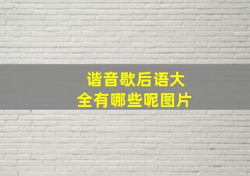 谐音歇后语大全有哪些呢图片