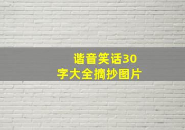 谐音笑话30字大全摘抄图片