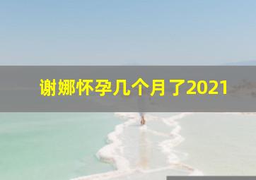 谢娜怀孕几个月了2021