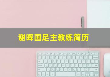 谢晖国足主教练简历