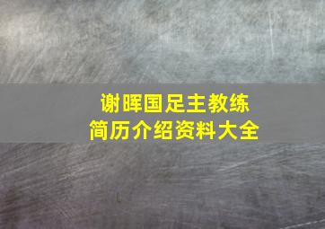 谢晖国足主教练简历介绍资料大全