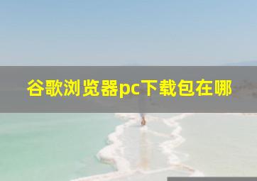 谷歌浏览器pc下载包在哪