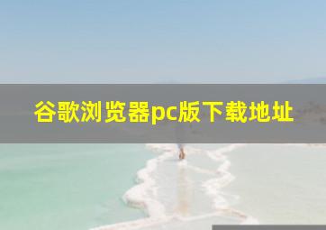 谷歌浏览器pc版下载地址