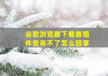 谷歌浏览器下载器插件安装不了怎么回事