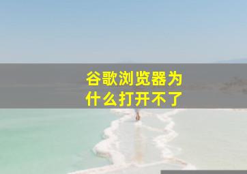 谷歌浏览器为什么打开不了