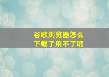 谷歌浏览器怎么下载了用不了呢