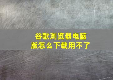 谷歌浏览器电脑版怎么下载用不了