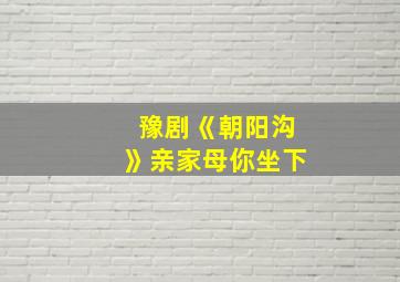 豫剧《朝阳沟》亲家母你坐下