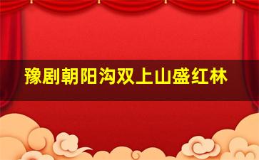 豫剧朝阳沟双上山盛红林