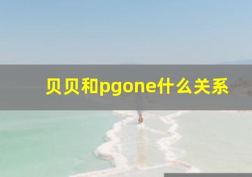 贝贝和pgone什么关系