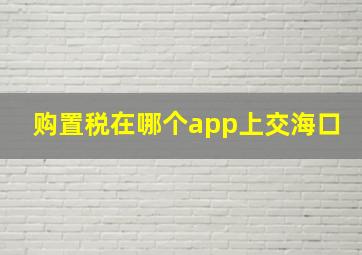 购置税在哪个app上交海口